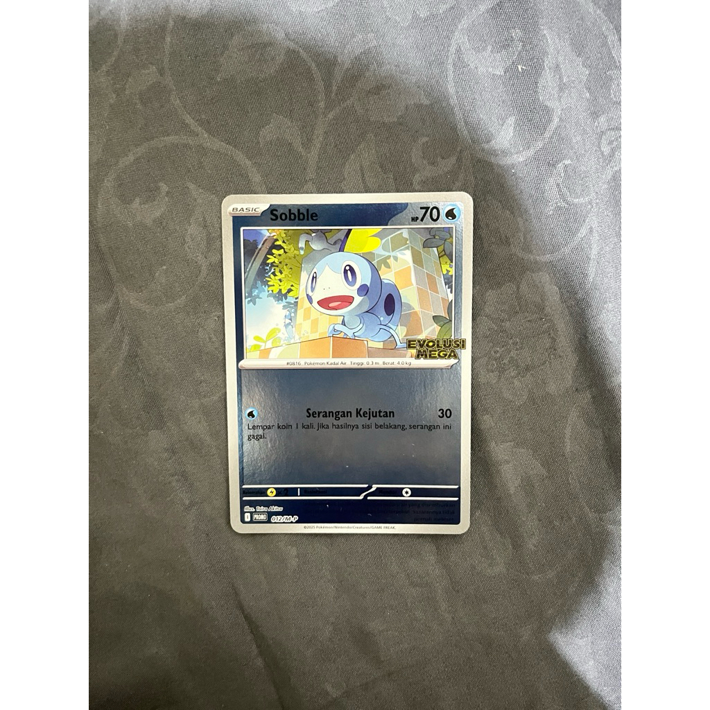 Kartu Pokemon TCG Indonesia Evolusi Mega, Sobble