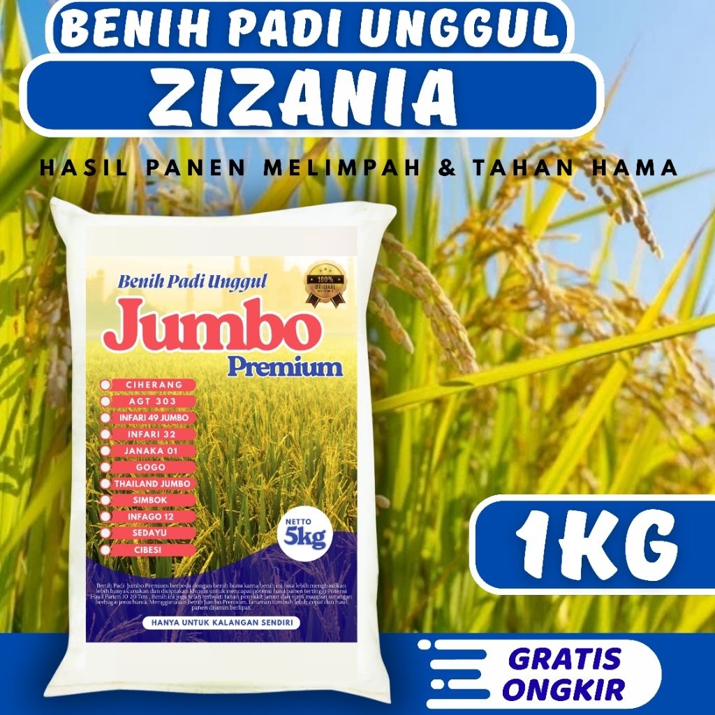Benih Padi Unggul Zizania Aceh Original Kemasan 1kg