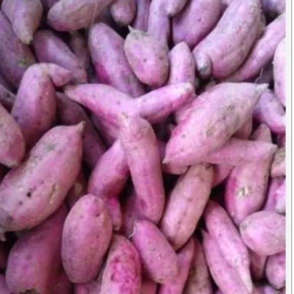 Ubi jalar ungu / ubi ungu 1kg ,sumber karnohidrat yang baik / ubi ungu pekat bebas pestisida /ubi un