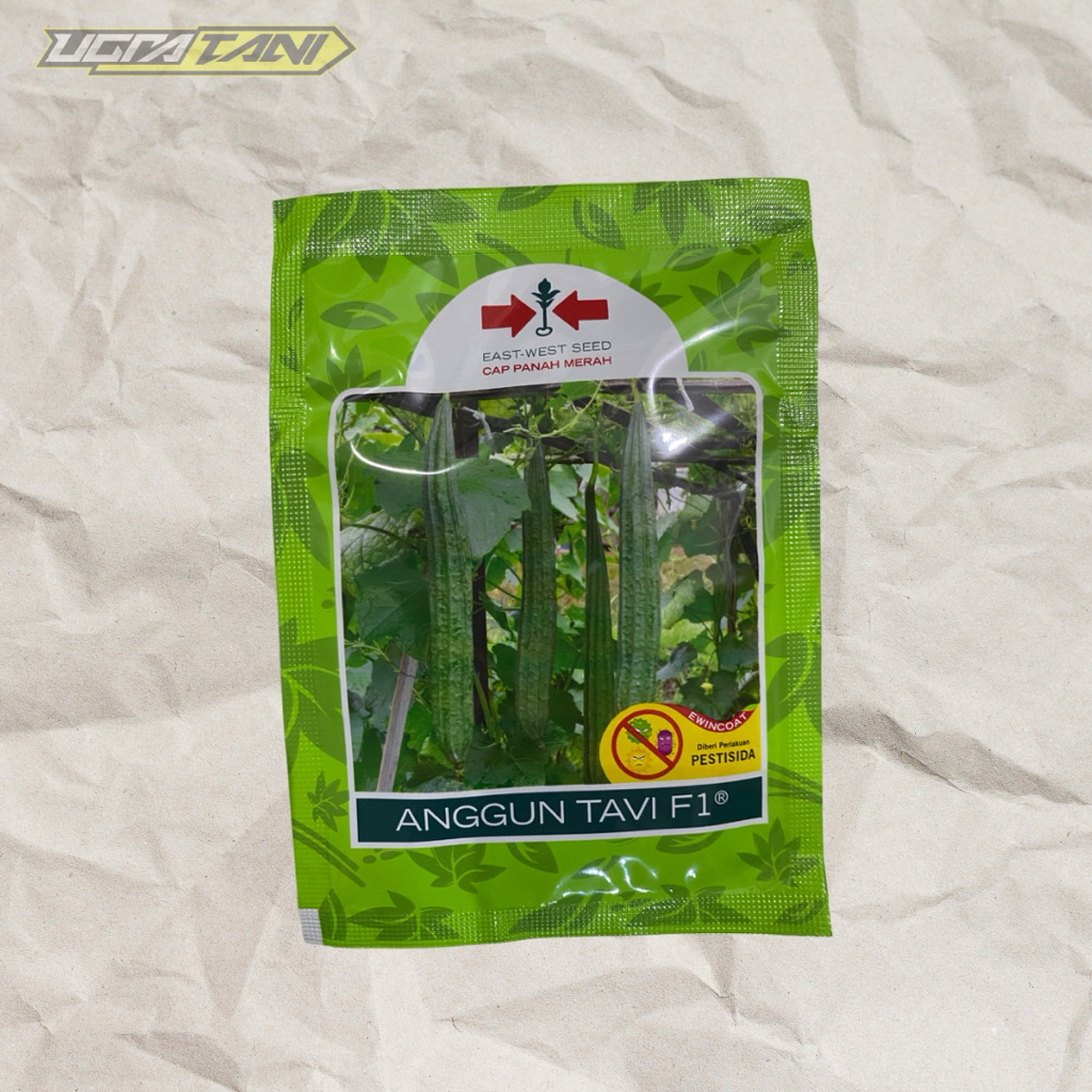 Benih Bibit Gambas Oyong Anggun Tavi F1 isi 75 Butir