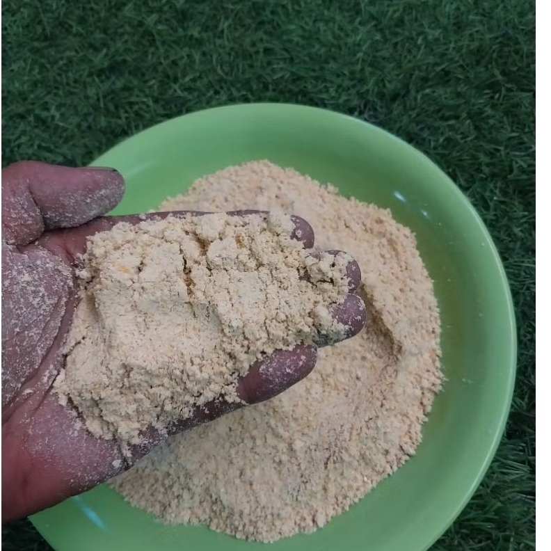 dedak jagung tepung jagung halus pakan DOC bebek burung anak ayam elba arab kalasan teletabis jumbo 