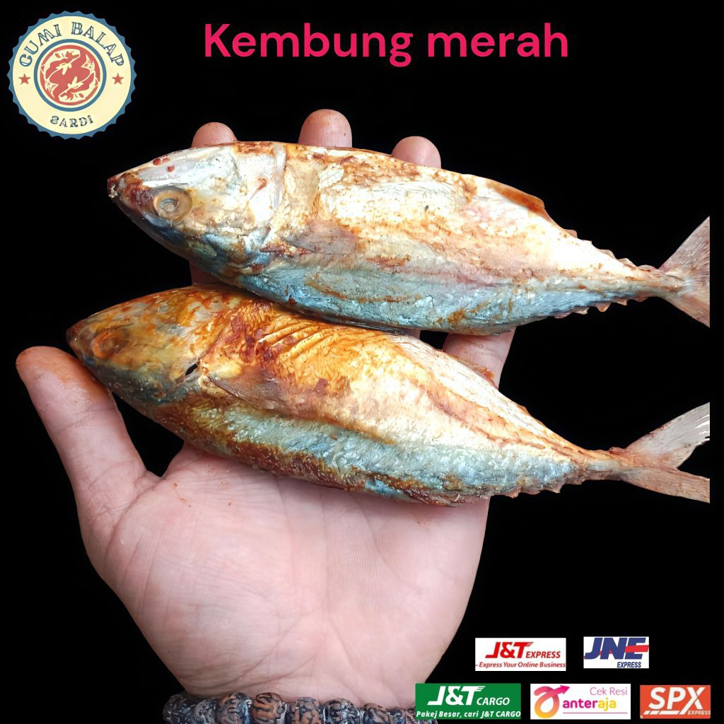 ikan asin peda merah/ikan asin kembung merah