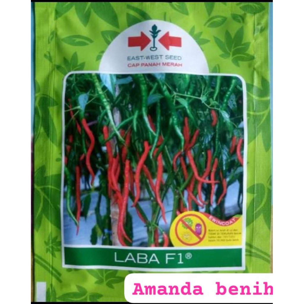 benih cabe keriting LABA F1