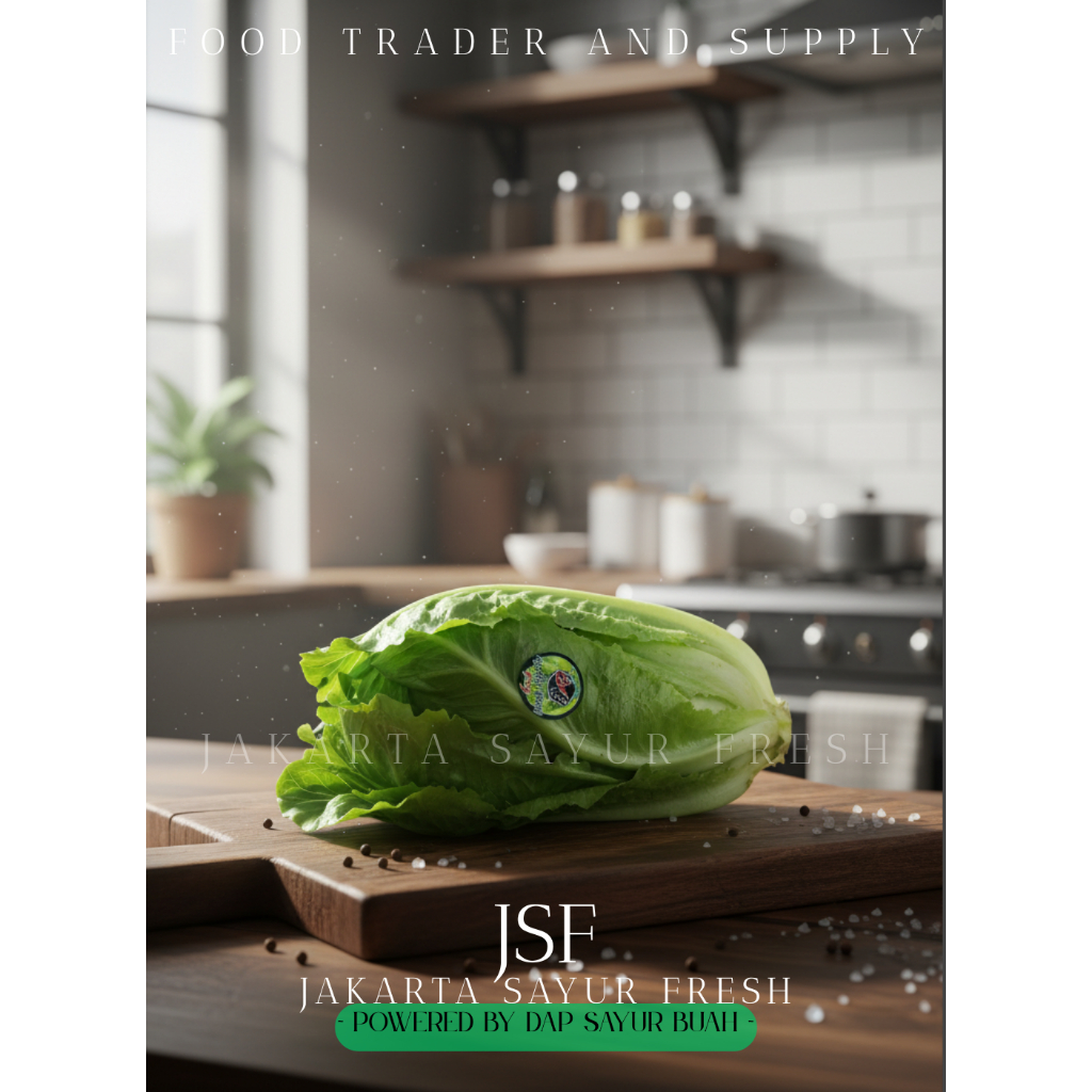 Lettuce Romaine - Selada - Sayur Jakarta JSF by DAP