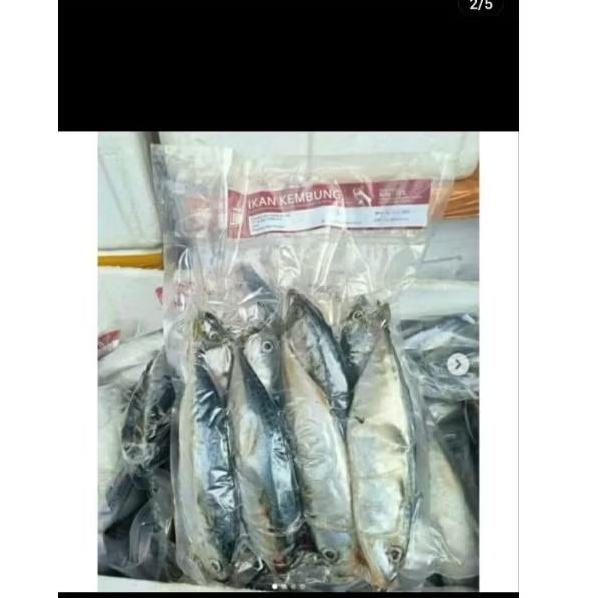 ikan kembung Frozen