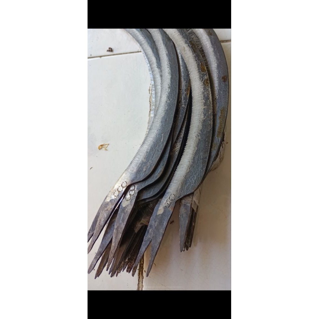 Arut gergaji, arit gerigi, arit padi, arit rumput