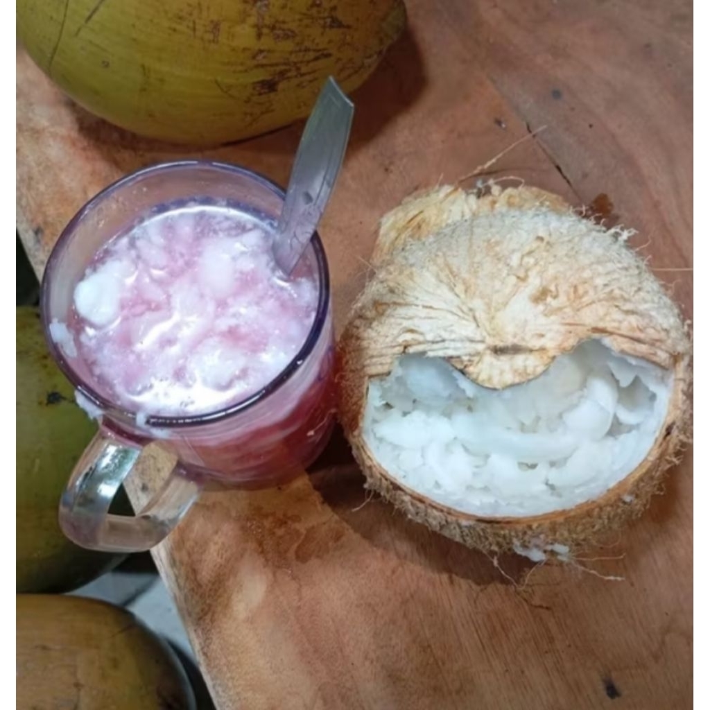 kelapa kopyor asli Madura sangat empuk