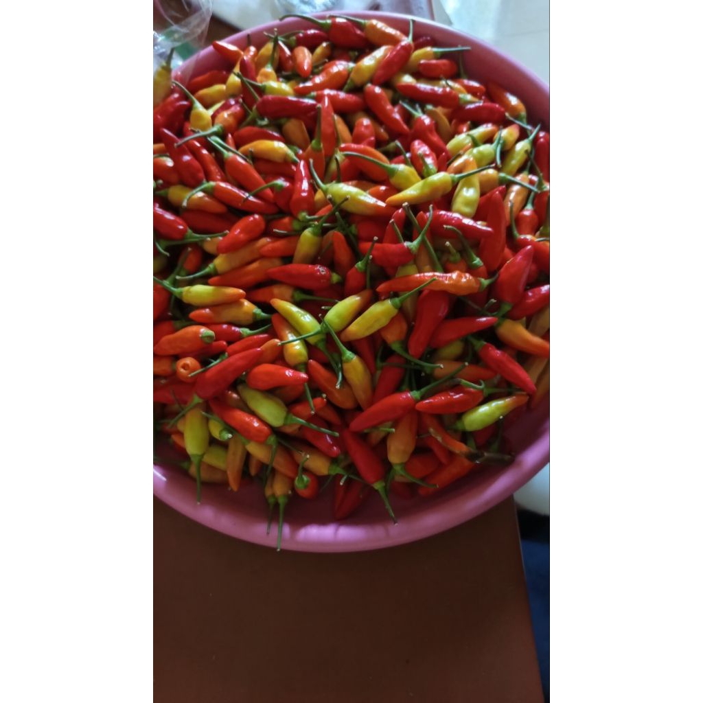 cabai rawit merah, cabai setan, cabai ORI 1kg