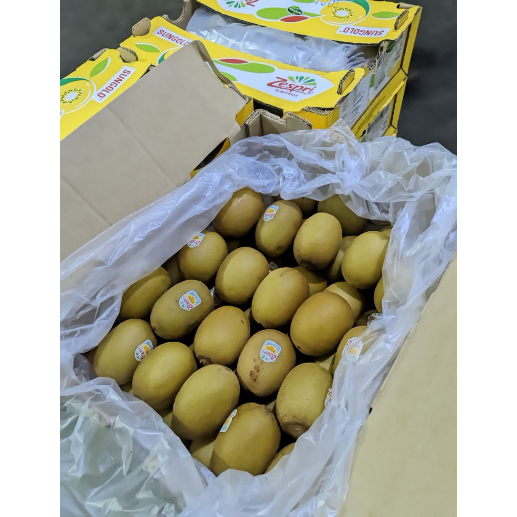 KIWI GOLD ZESPRI SIZE 22/27 IMPORT 1 DUS READY