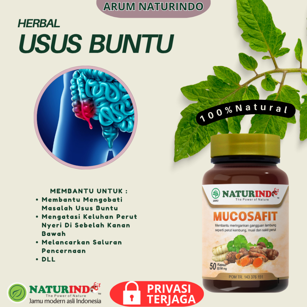 Obat Usus Buntu Radang Usus Herbal Usus Buntu Ampuh Infeksi Usus Radang Usus Sakit Usus Buntu