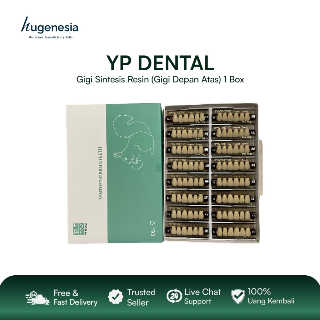 Hugenesia - Gigi Sintetis Resin Yp Dental  Gigi Palsu Depan Atas & Bawah 1 Box