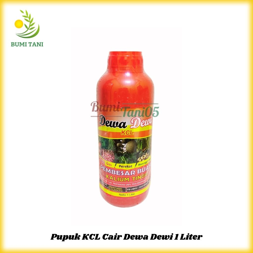 Pupuk KCL Cair Dewa Dewi 1 Liter