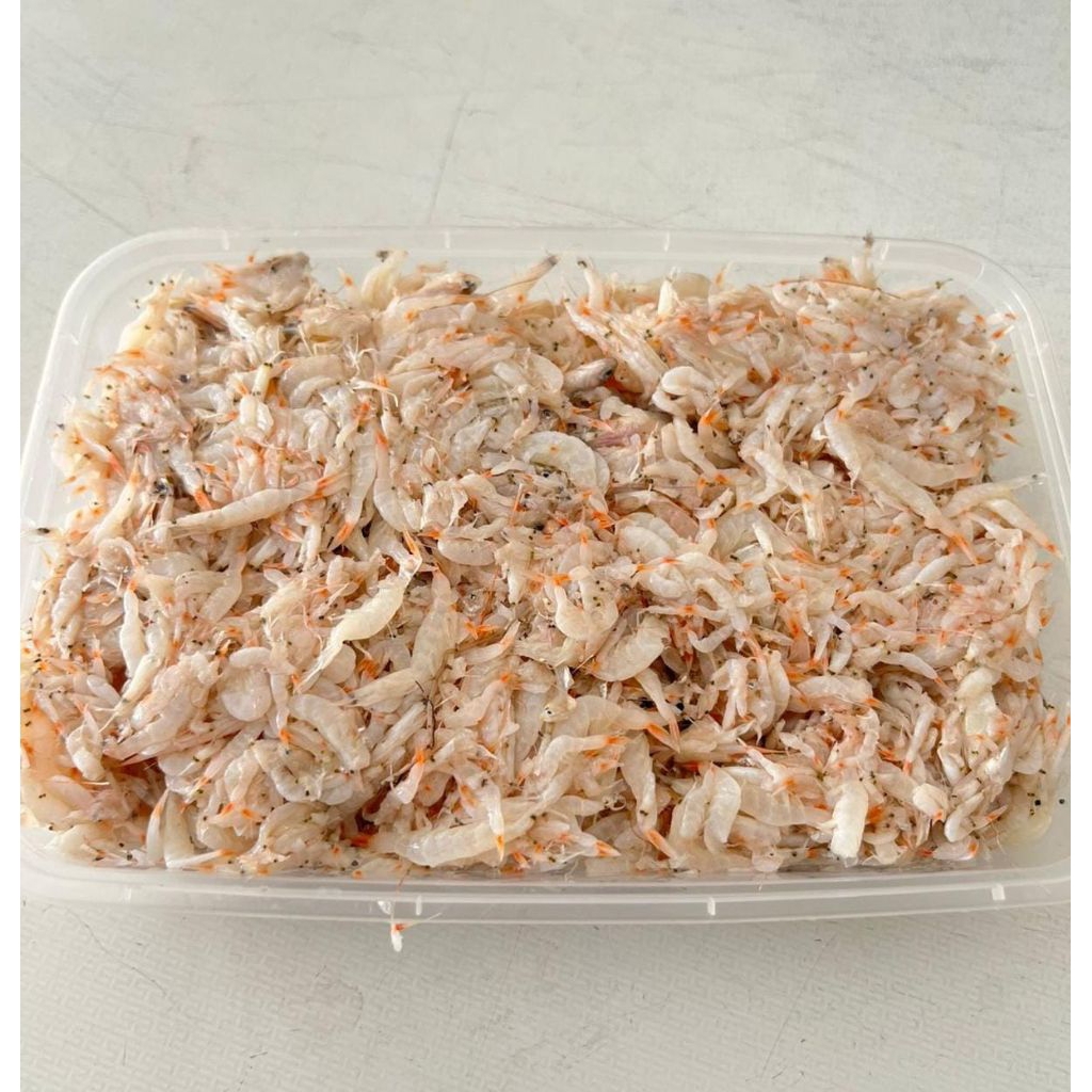 udang rebon basah berat 500 gram