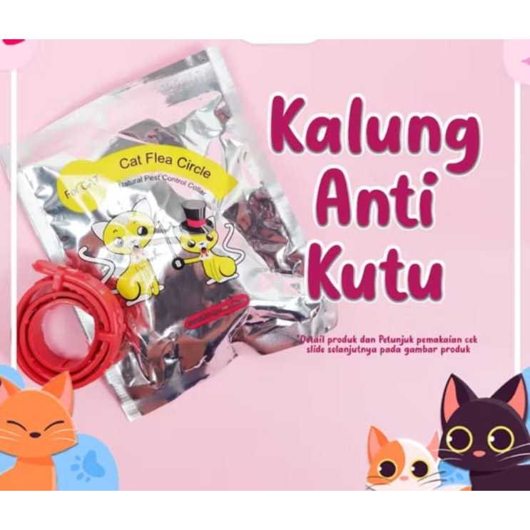 Kalung Anti Kutu Kucing / Kalung Kucing Anti Kutu