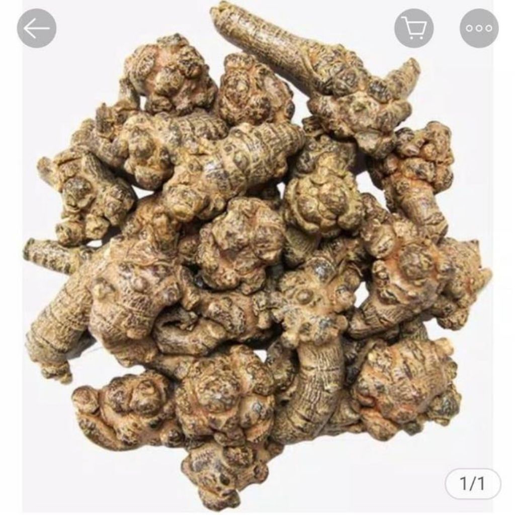 Akar Tian Qi/San Qi/Panax Notoginseng