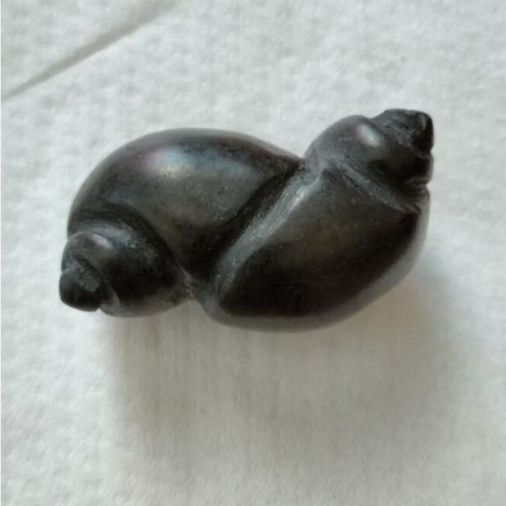 Batu keong buntet tumpang sari asli