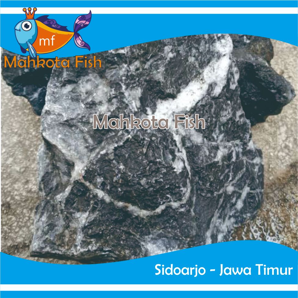 BATU KRIKET HITAM | BATU AQUASCAPE | BATU AQUARIUM | BATU TANAMAN AQUASCAPE