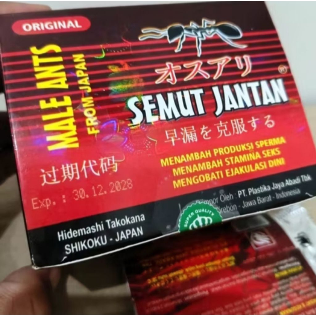 kapsul Semut Jantan