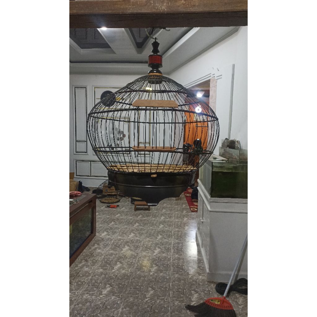 Sangkar ayam hutan untuk  jantan dewasa diameter 55-60cm