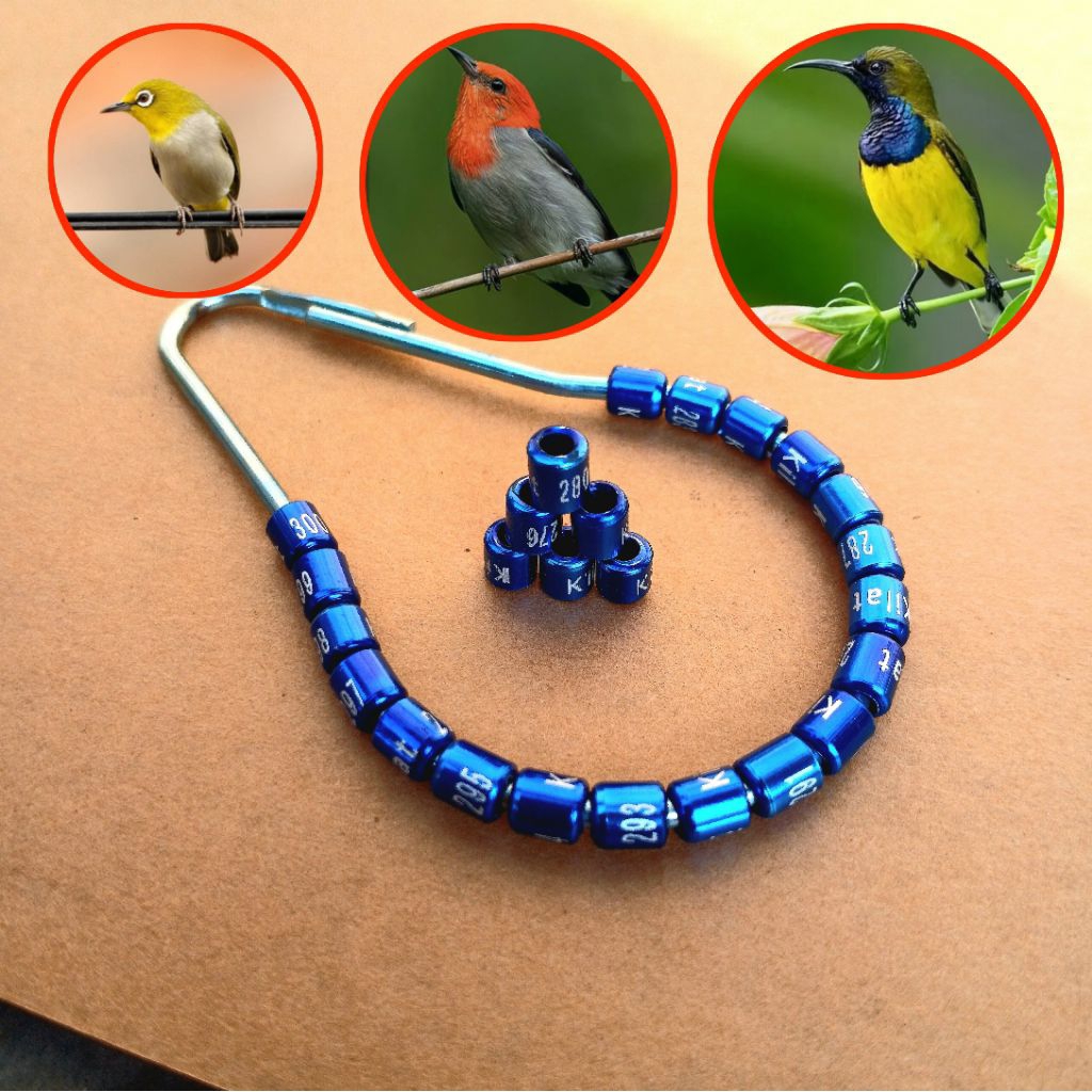 RING UKURAN SOGON,KOLIBRI,PLECI (SUDAH TERCETAK NAMA)