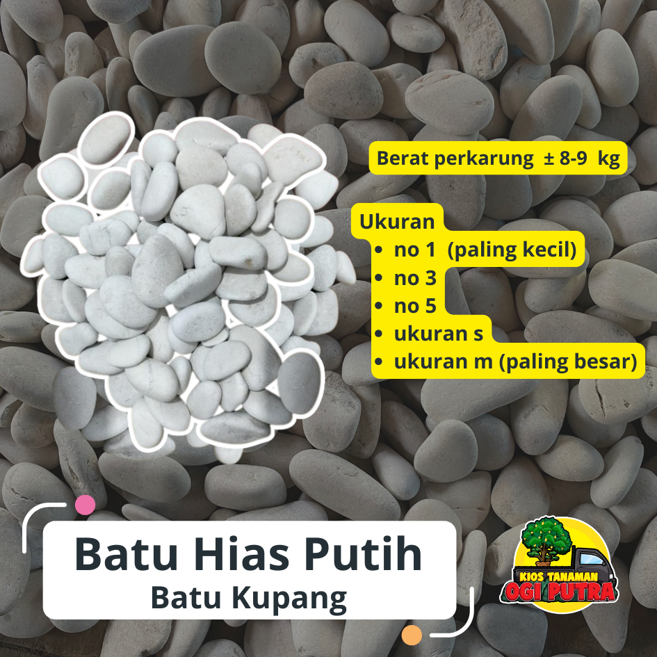 Batu hias putih atau batu kupang putih untuk dekorasi taman