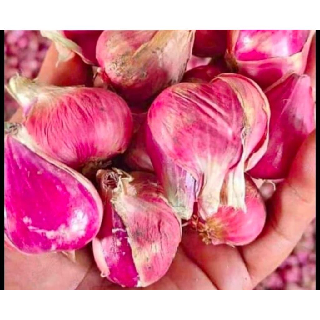 Bawang Merah Super Brebes 1kg