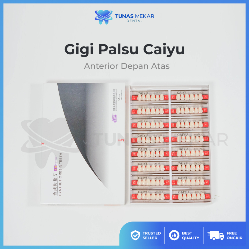 Dental Caiyu Cayu Depan Atas Anterior Atas 1 box Gigi Palsu Anasir