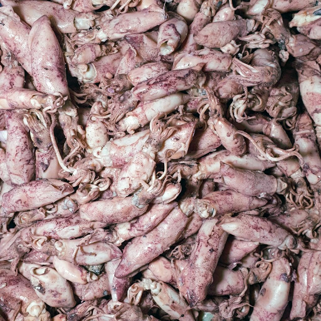 Asin Cumi Premium Asli Dari Nelayan Pangandaran