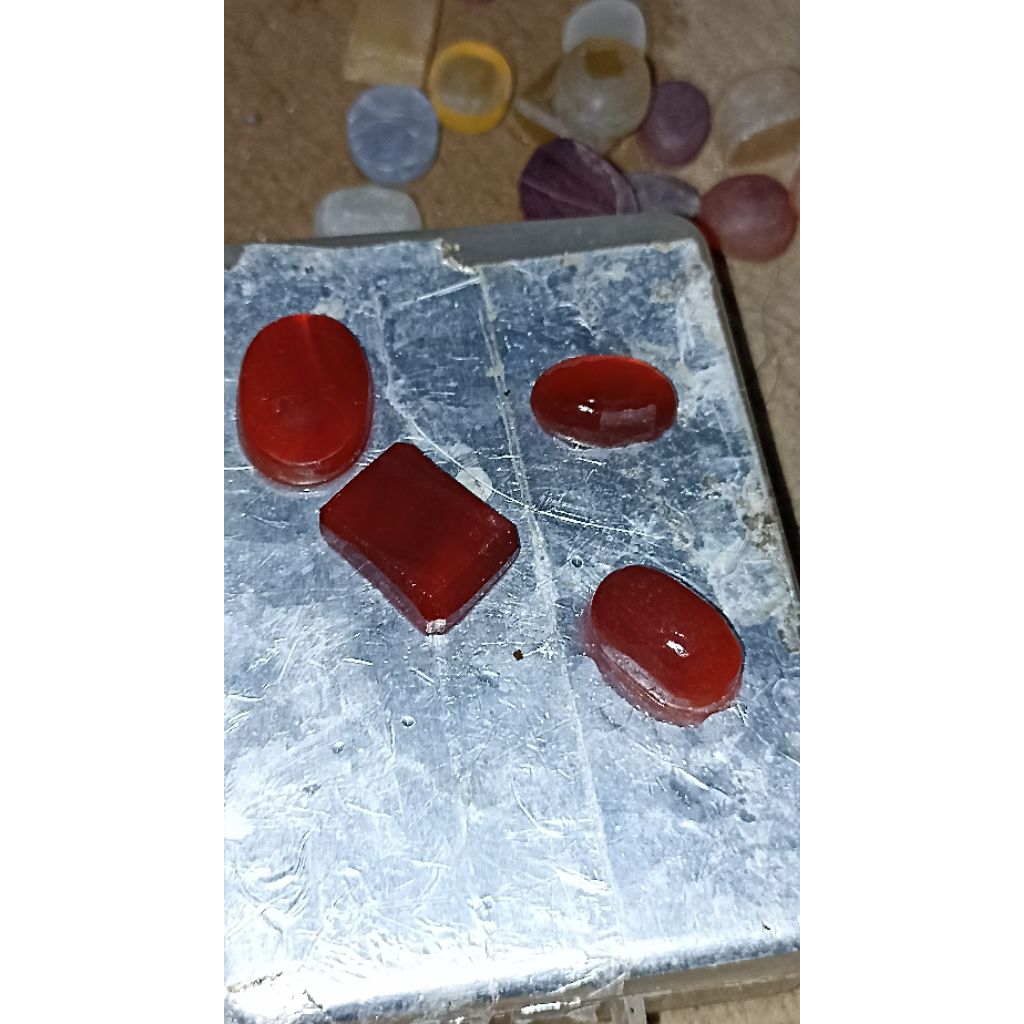 Cempaka  merah / Red rafflesia ) cimpago/ limau manis /
