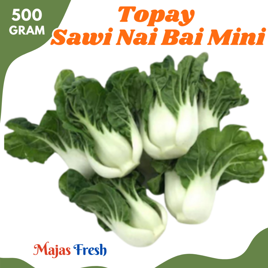 TOPAY SAWI Nai Bai Mini Putih Segar - Topai Nai Bai Mini Pakcoy Bok Choy Import Fresh | 500gr [ Harg
