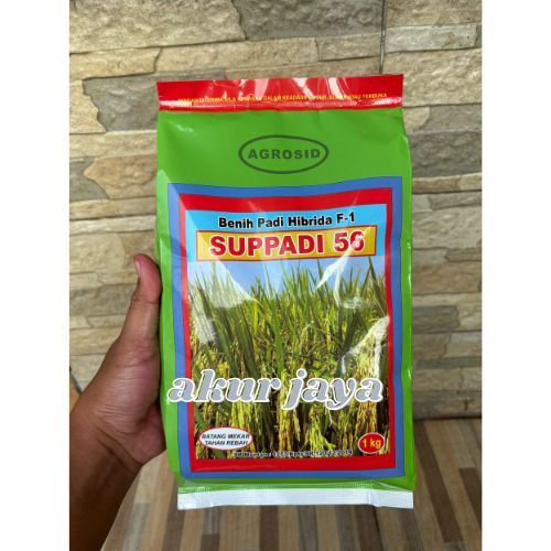 BIBIT BENIH PADI HIBRIDA F1 SUPPADI 56 1KG