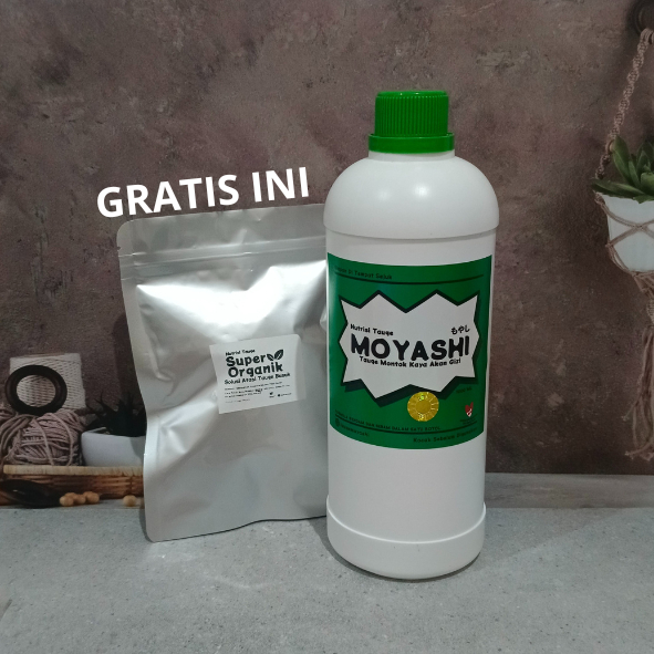 Nutrisi Tauge Moyashi Gemuk Putih Segar Asli || Nutrisi Tauge Moyashi Hemat Gratis Anti Busuk Asli
