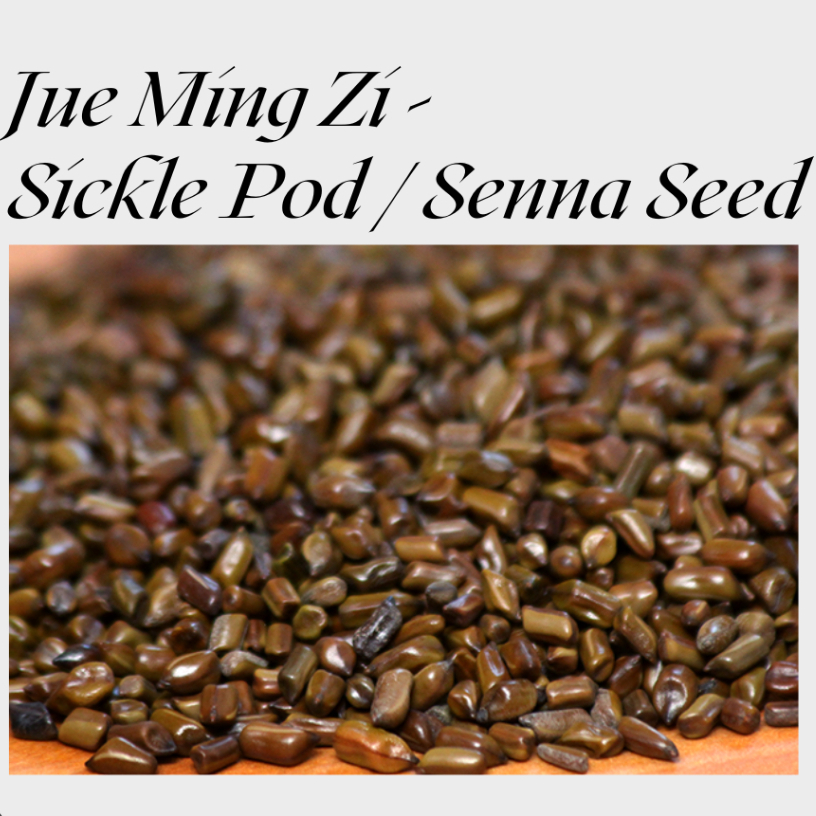 Jue ming zi / sicklepod / chinese senna / Cassia obtusifolia (50gr)