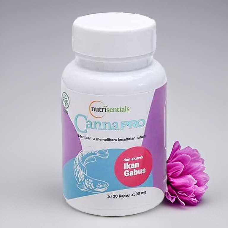 CannaPro Ekstrak Ikan Gabus 10X Penyembuhan BPOM