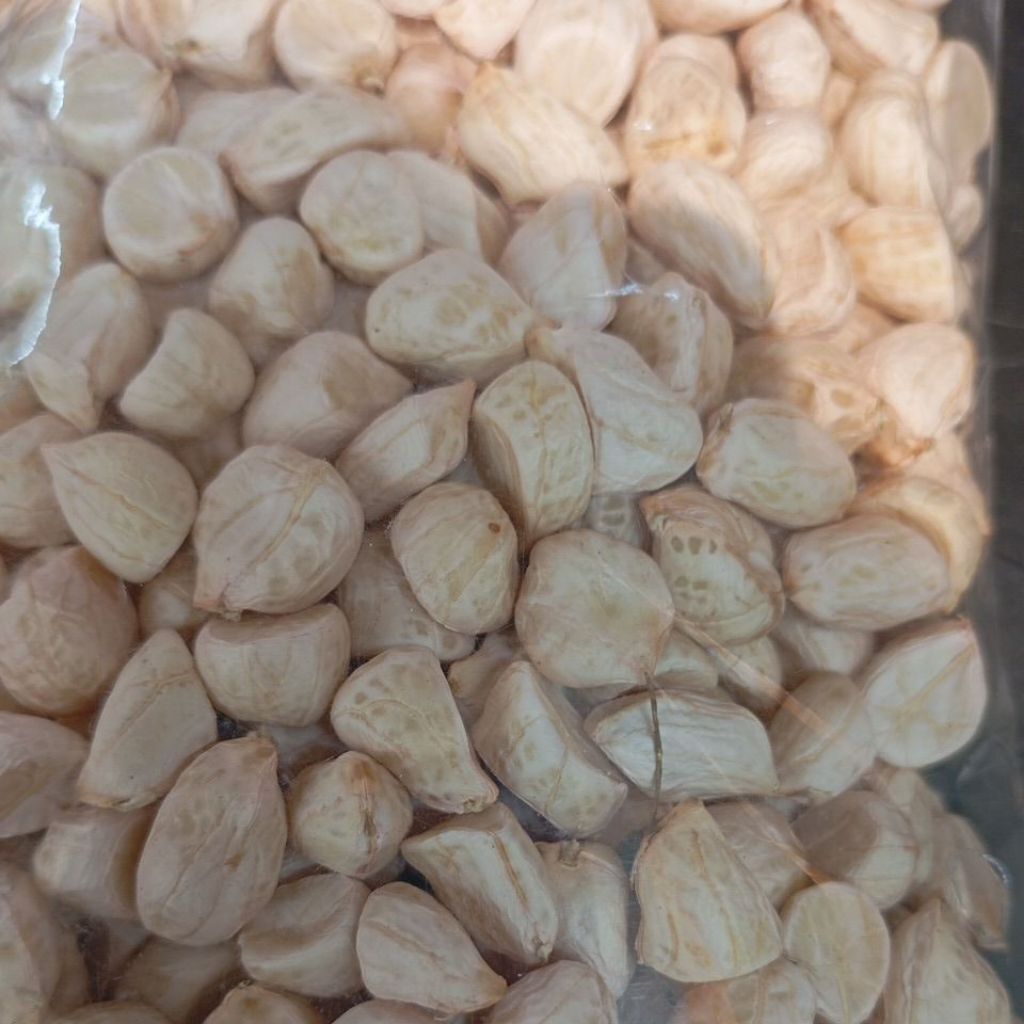 KACANG TANAH BASAH 250 GRAM