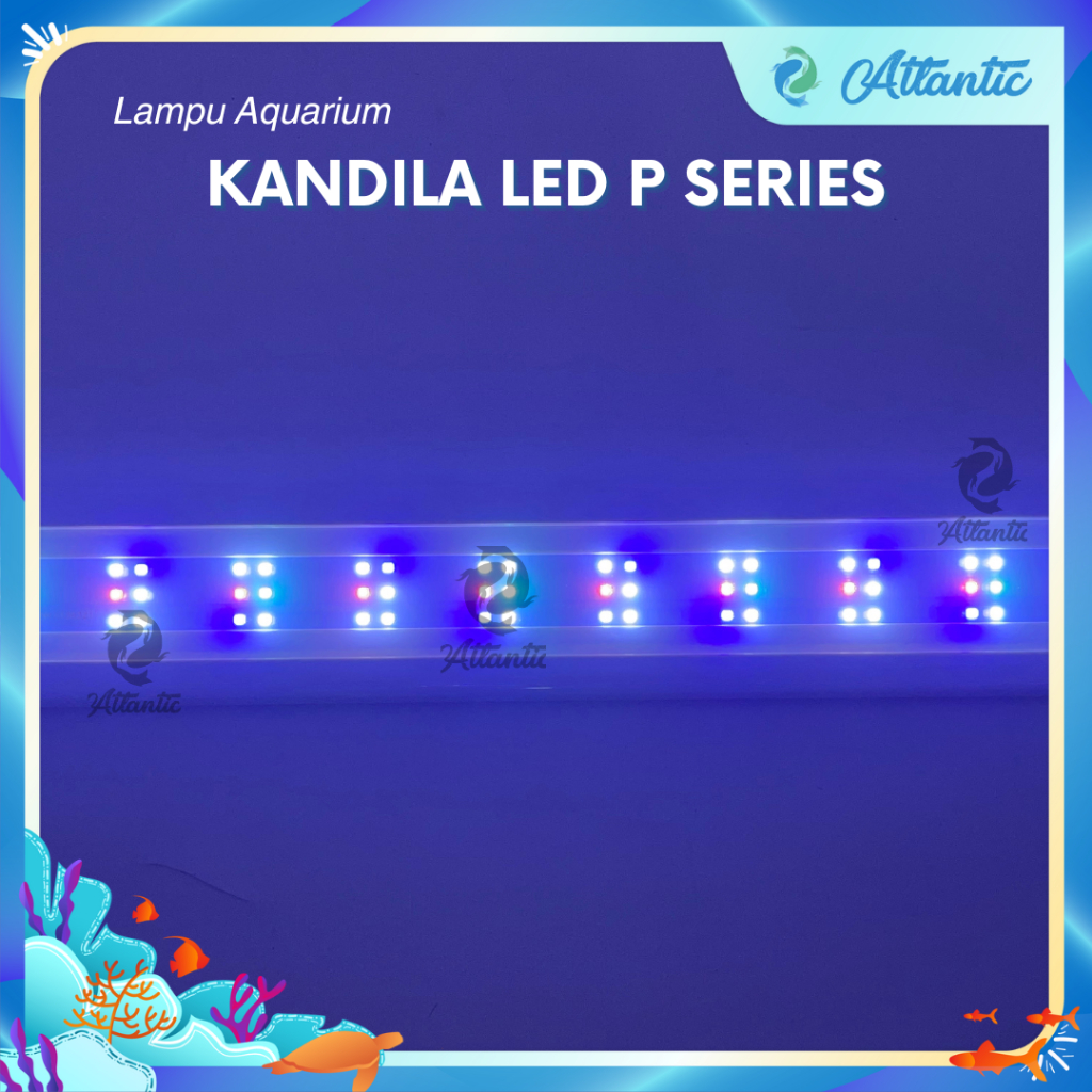 Lampu LED Aquarium 80-90 cm WRGB KANDILA – Lampu Gantung LED untuk Aquascape & Ikan Hias