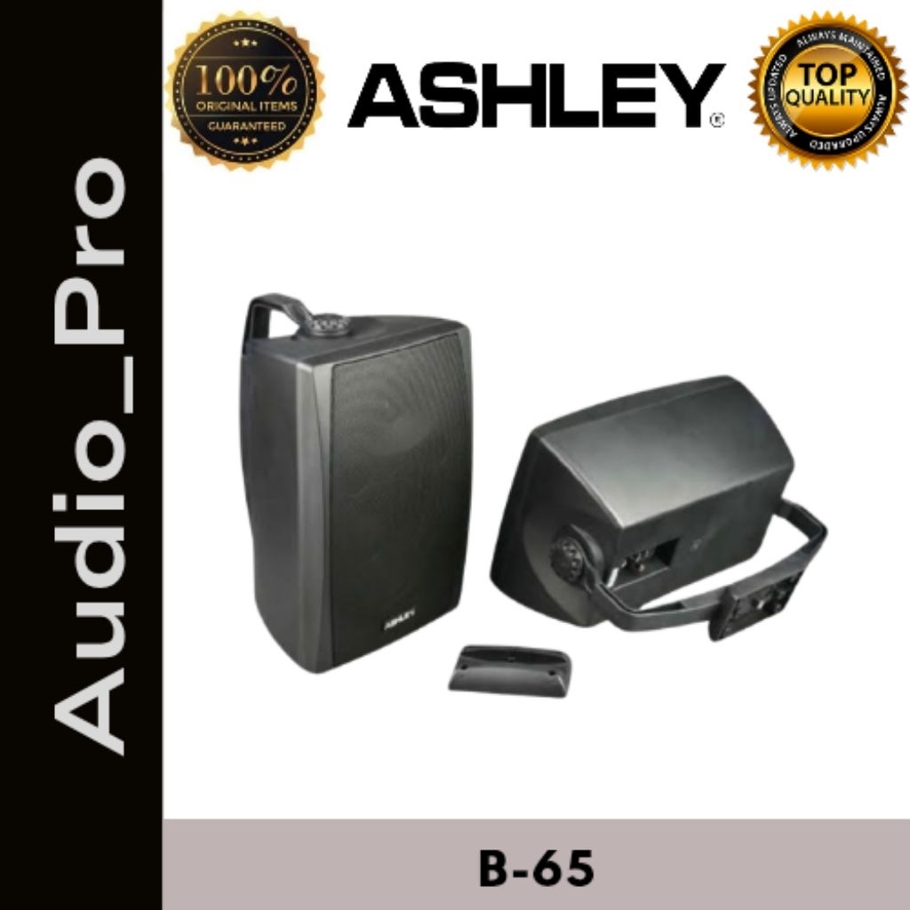 SPEAKER PASIF ASHLEY B65 ORIGINAL