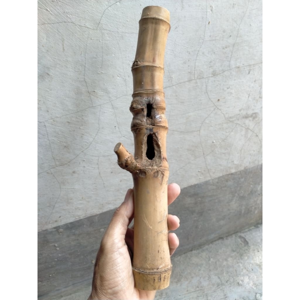 BAMBU UNIK COMBONG RUAS PENDEK (30 CM) ORI
