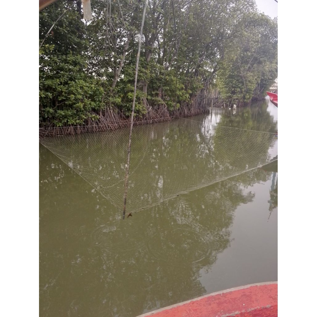 jaring anco udang, wader 3/8 in 2x2 meter