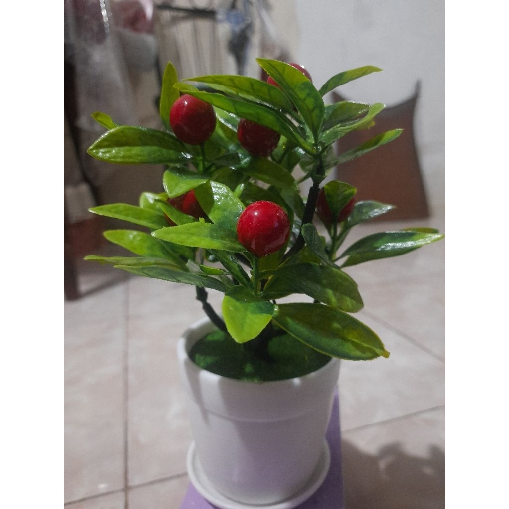 JUAL PAJANGAN POHON DAN BUAH MINI KONDISI BAGUS