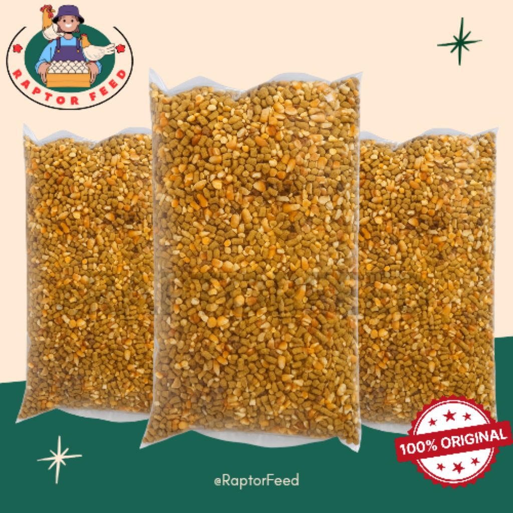 Raptor 503 Pakan Ayam Bangkok Premium | Pakan Ayam Aduan