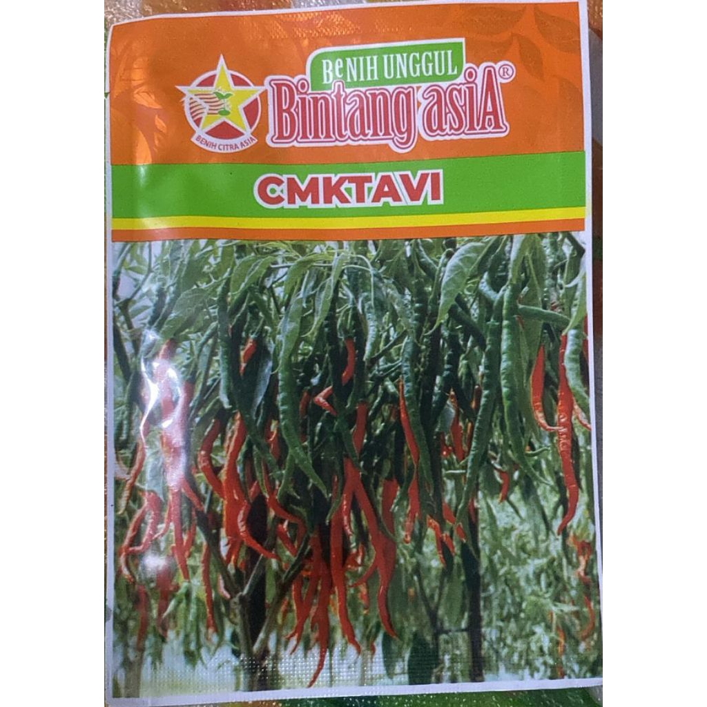 CMK TAVI BINTANG ASIA