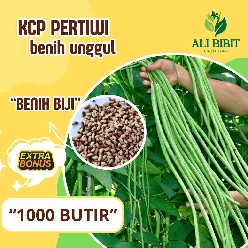 1000 Butir > Benih Kacang Panjang Pertiwi > Bibit Kacang Panjang Biji