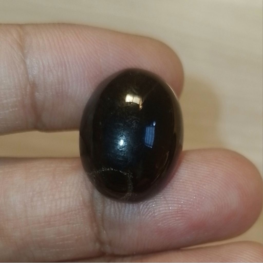 Batu Fosil Kelor Kristal Serat Emas Natural Hitam Glossy Tembus Merah