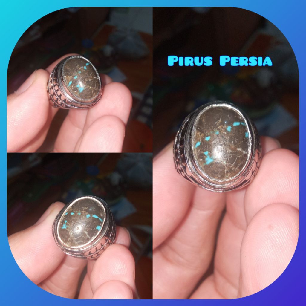 Pirus Persia Asli