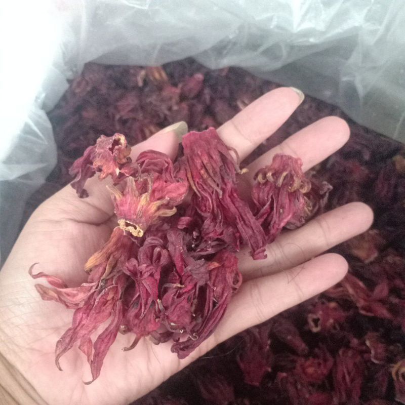 Teh Bunga Rosela Kering Organik Premium – Herbal Untuk Imun & Kulit Cerah