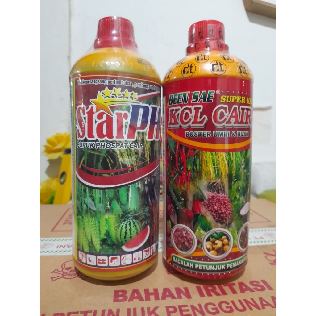 Pupuk Usia Generatif Starphos Phospat Cair+ Been Sae KCl Kalium Cair