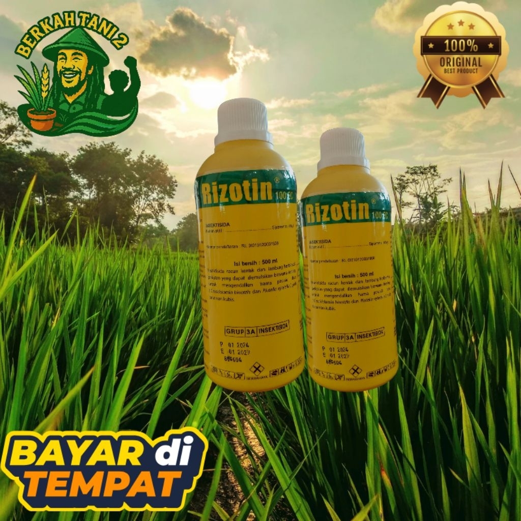 Insektisida Rizotin 100EC 500ML