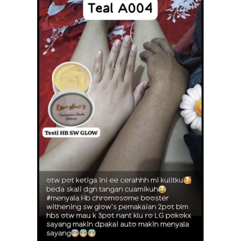 Hb Booster Chromosome SW Glow's