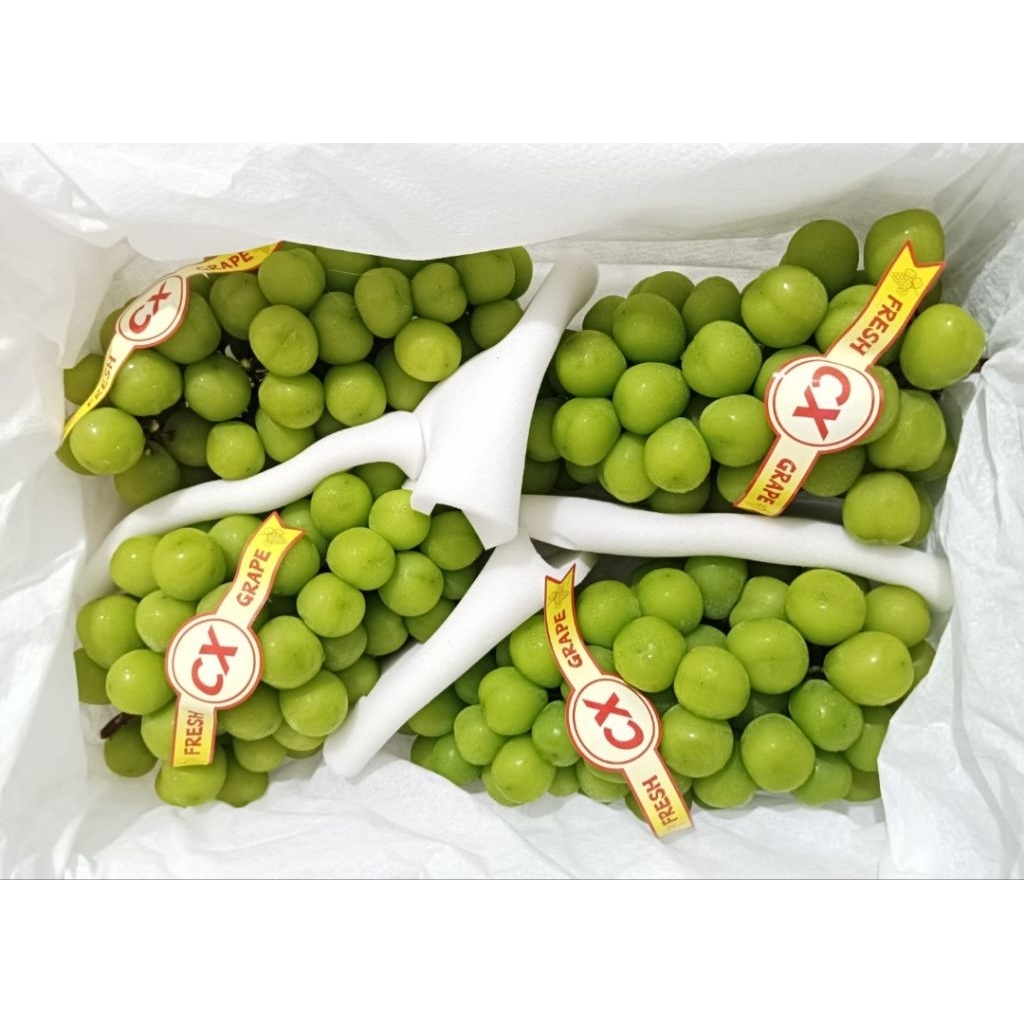 Anggur Shine Muscat Curah 4kg